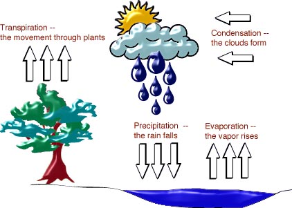Water Cycle Model Project. How To Make A 3d Model Of