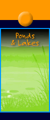 Ponds and Lakes