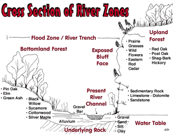 Cross Section of River Zones