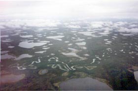 Wetlands in Alaska