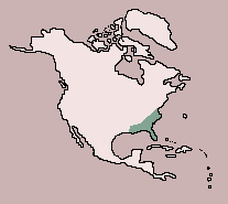 Range of Two-toed Amphiuma