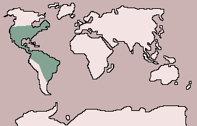 Range of American Bittern