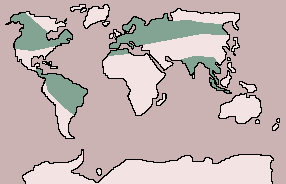 Range of Common Snipe