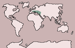 Range of Black-winged Stilt