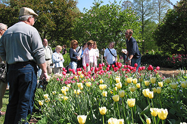 MBG Audio Description Tour NEW at Missouri Botanical Garden | Missouri ...