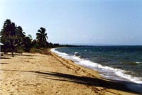 Beach in Belize