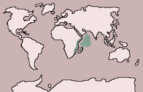 Range of Crab Plover