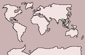 Range of White-bellied Mangrove Snake