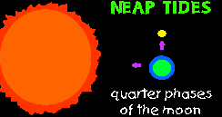 Neap Tide