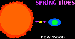 Spring Tides--New Moon