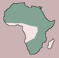 Range of Lappet-Faced Vulture