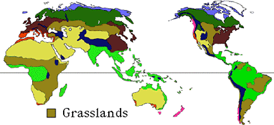 Grasslands Biome Map