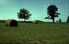 Hay Bales in Prairie