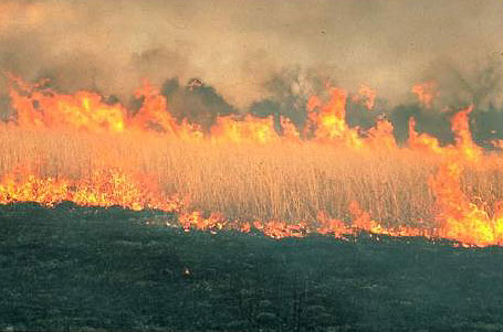 Prairie Burn