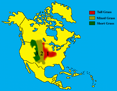 North American Grasslands Map