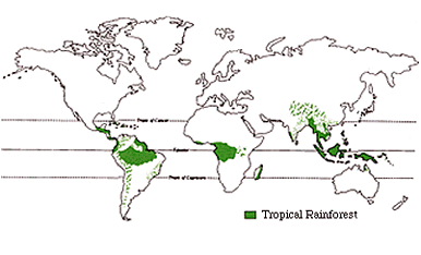 Map of Tropical Rainforests