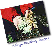 Robyn Holding Lichens