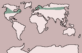 Range of Hawk Owl