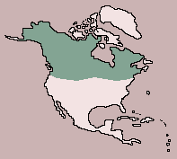 Range of Marten