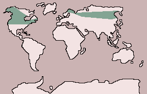 Range of Pine Grosbeak