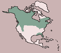 Range of Black Bear