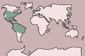 Range of White-tailed Deer