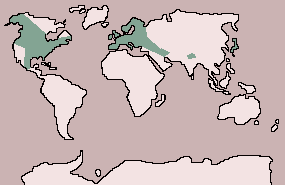 Range of Goshawk