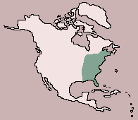 Range of Gray Squirrel