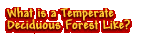 What is a Temperate Deciduous Forest Like?